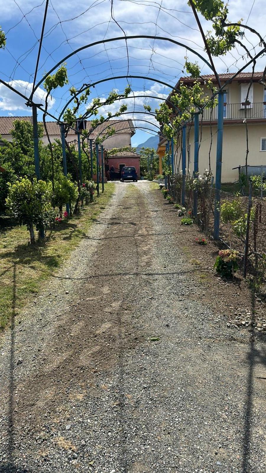 Guesthouse Marku - Mrizi I Zanave Fishte Exterior photo